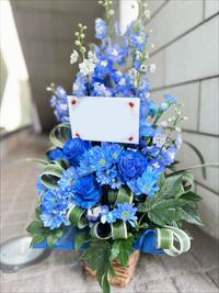 imagex0.jpg